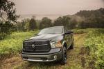 Dodge Ram 1500 OutDoorsman Crew Cab 2013 года